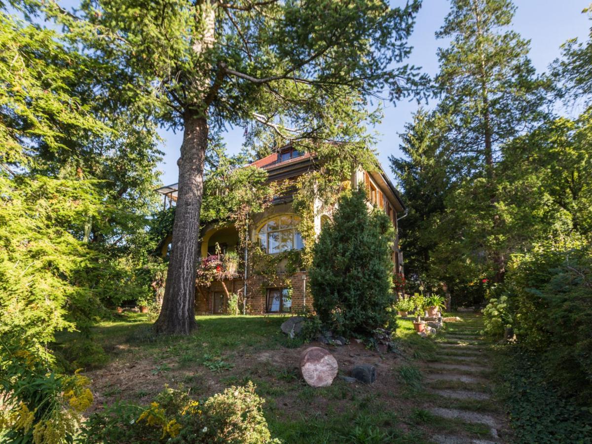 Ferienwohnung Dresden-Pillnitz - Elbhang-Villa - "Am Zuckerhut" Екстер'єр фото